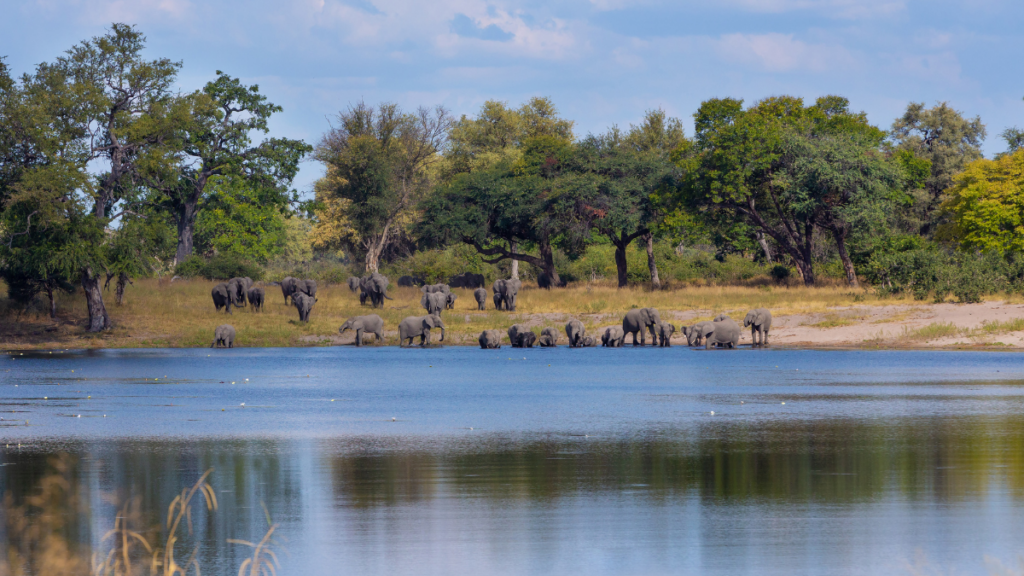 Escapade en Afrique Australe