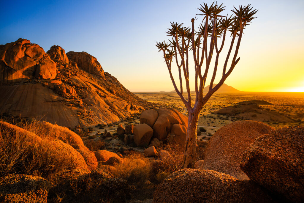 Grands Espaces Namibien
