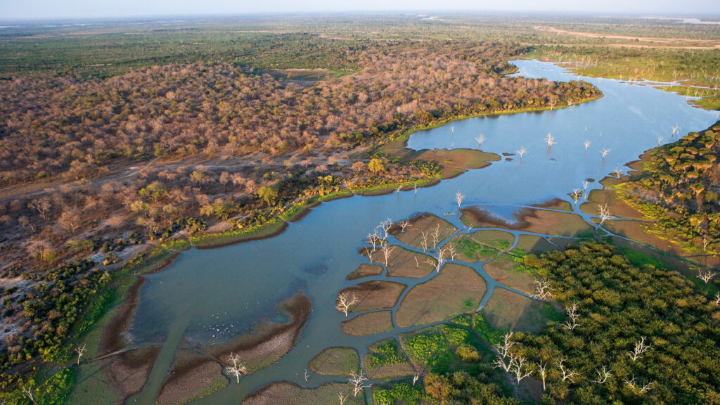 Ballade autour de l’Okavango